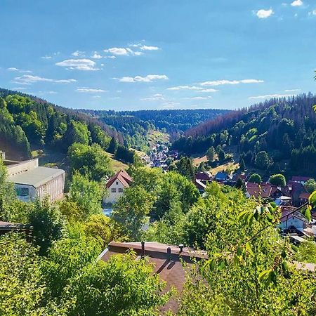 Werrapark Resort Ferienhaeuser Am Sommerberg Premium Masserberg Εξωτερικό φωτογραφία