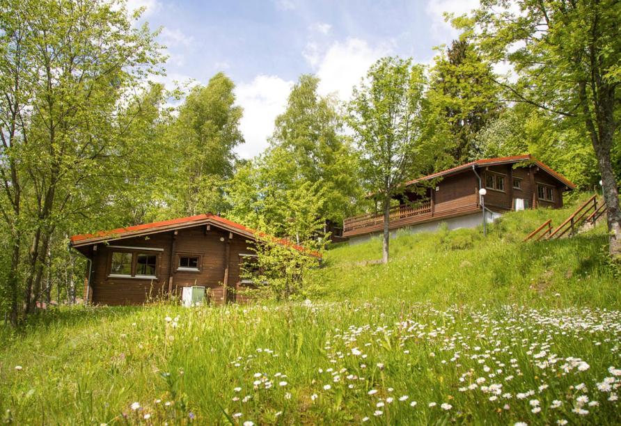 Werrapark Resort Ferienhaeuser Am Sommerberg Premium Masserberg Εξωτερικό φωτογραφία